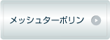 メッシュターポリン
